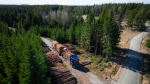 Merking av tømmer på velteplass​ – krav og tiltak