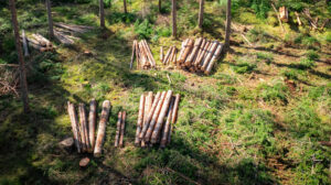 Velkommen til markedswebinar 