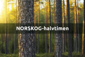 NORSKOG-halvtimen: Statsbudsjett og EUDR
